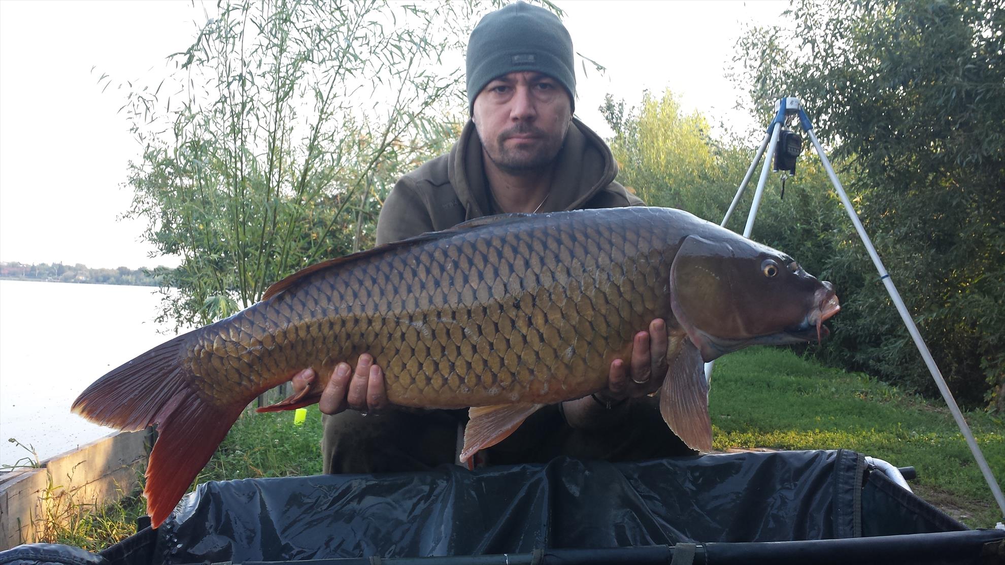 Hermes Peris 2 - 4 septembrie 2016 - 20160904081532.jpg